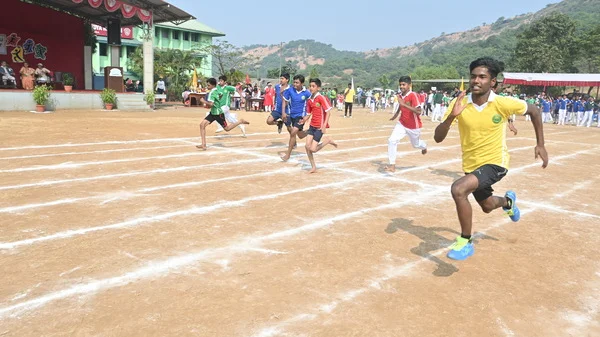 Sports (3)